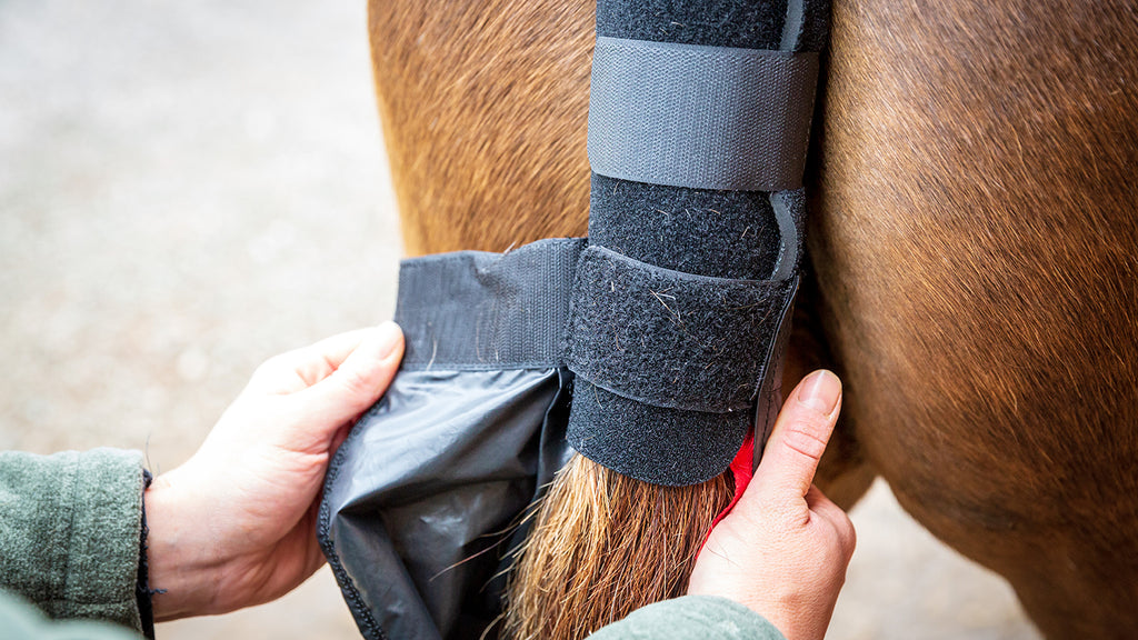ARMA Tail Guard With Detachable Tail Bag - Black