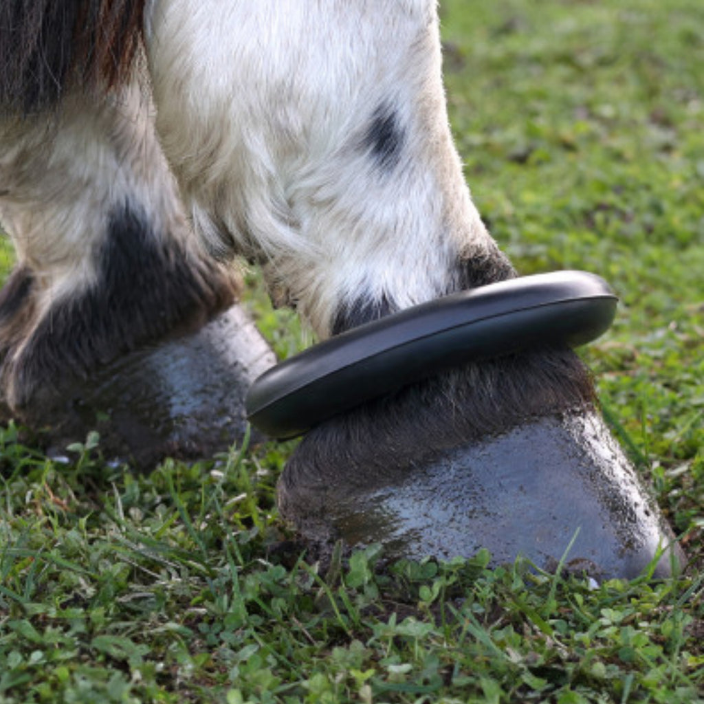 Hy Equestrian Fetlock Ring - Black
