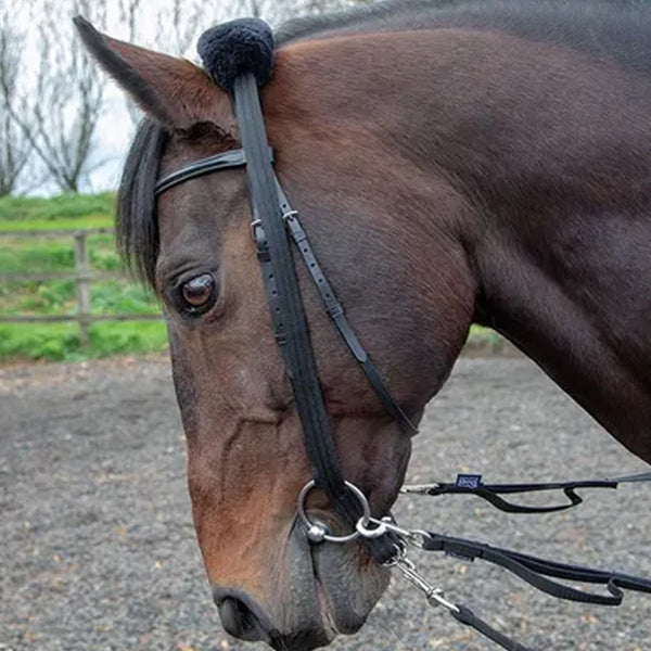 Lunging Adapter - Black