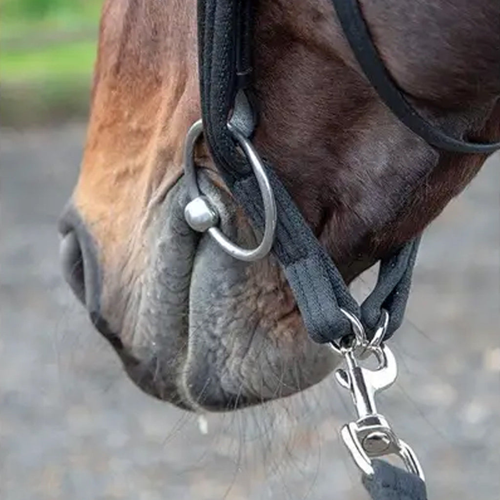 Lunging Adapter - Black