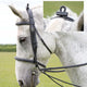 Elastic Training Reins - Black