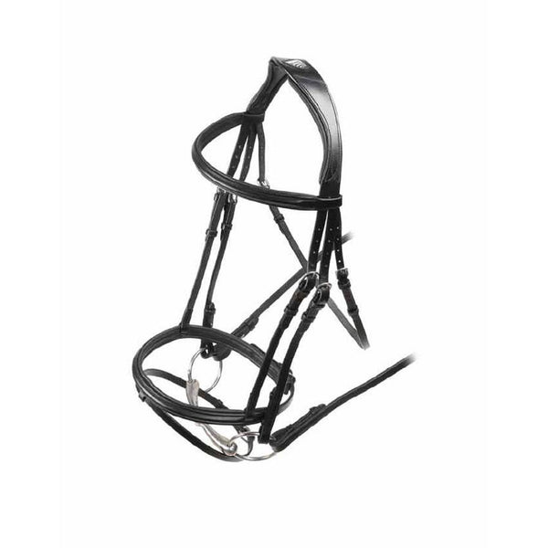 Velociti RAPIDA Padded Raised Flash Bridle - Havana