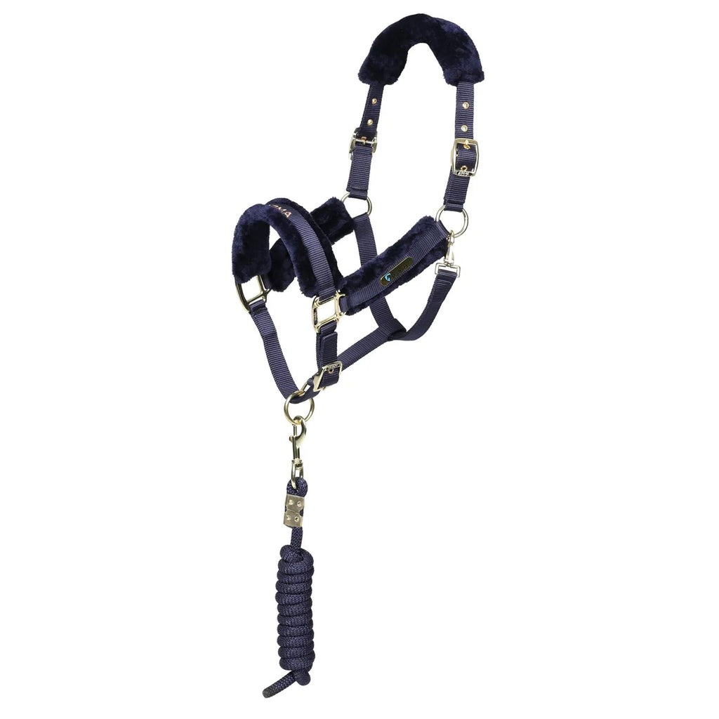ARMA Logo Headcollar and Lead Rope - Navy