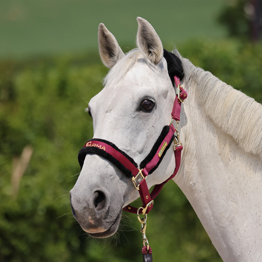 ARMA Logo Headcollar and Lead Rope - Burgundy