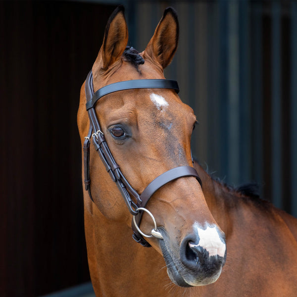 Lusso Hunter Cavesson Bridle - Havana
