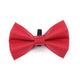 Digby and Fox Bow Tie - Red
