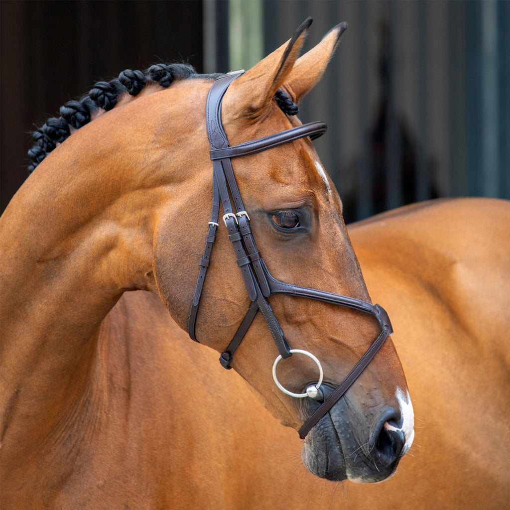 Velociti Lusso Grackle Bridle - Havana