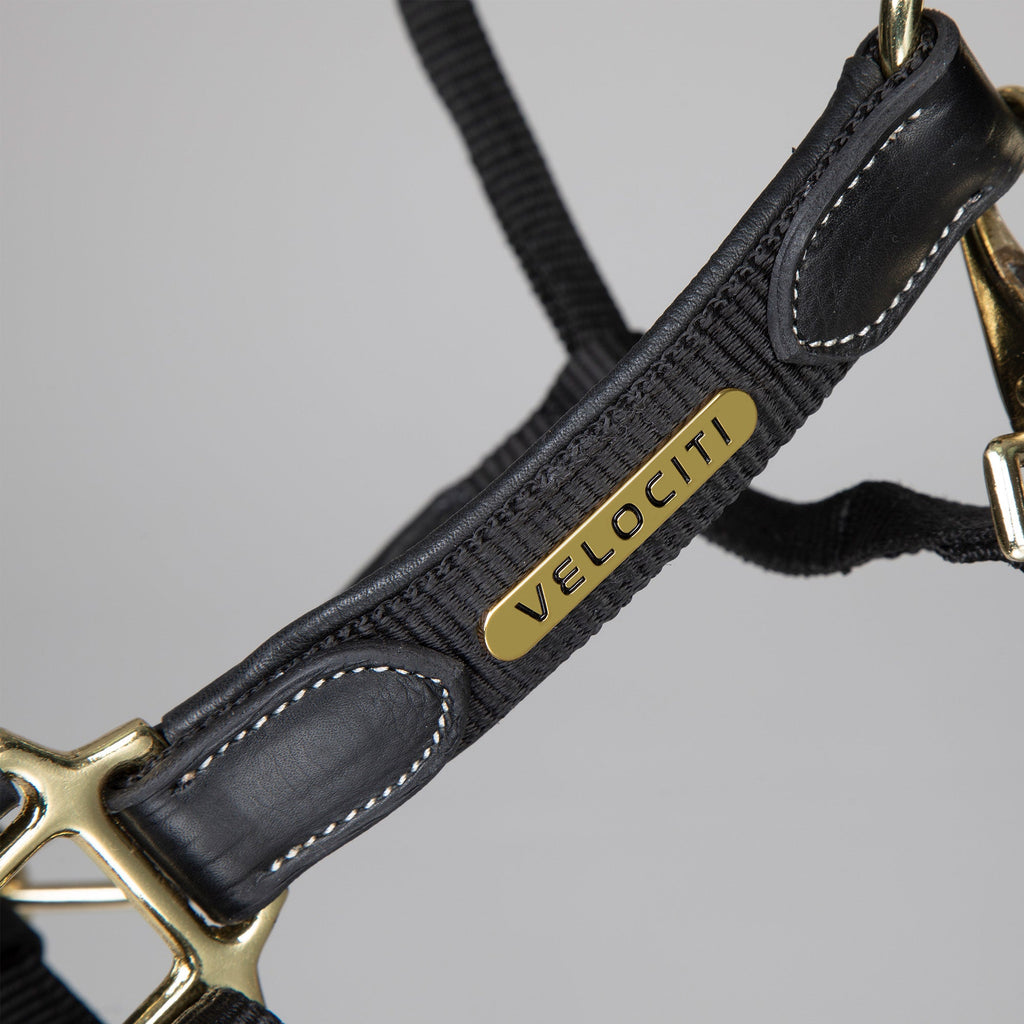 Velociti Lusso Padded Leather Headcollar - Black
