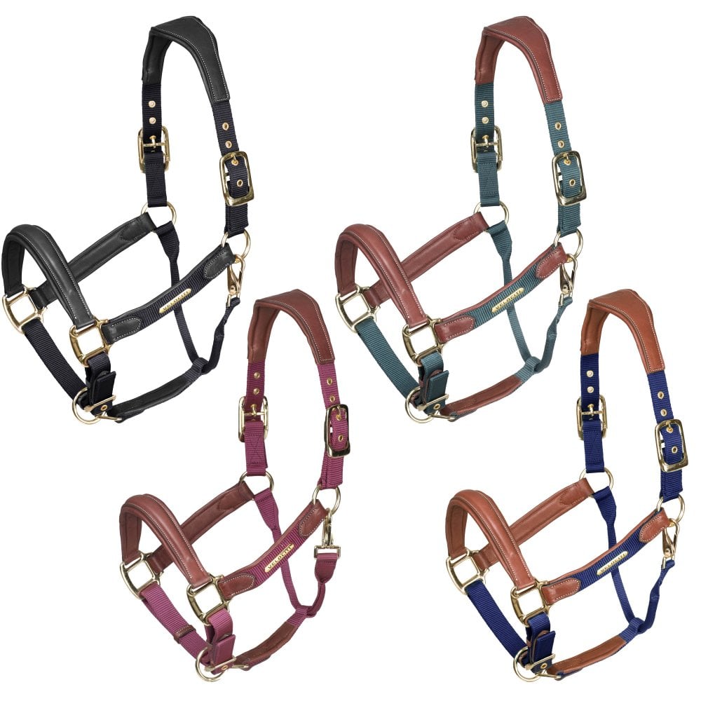 Velociti Lusso Padded Leather Headcollar - Black