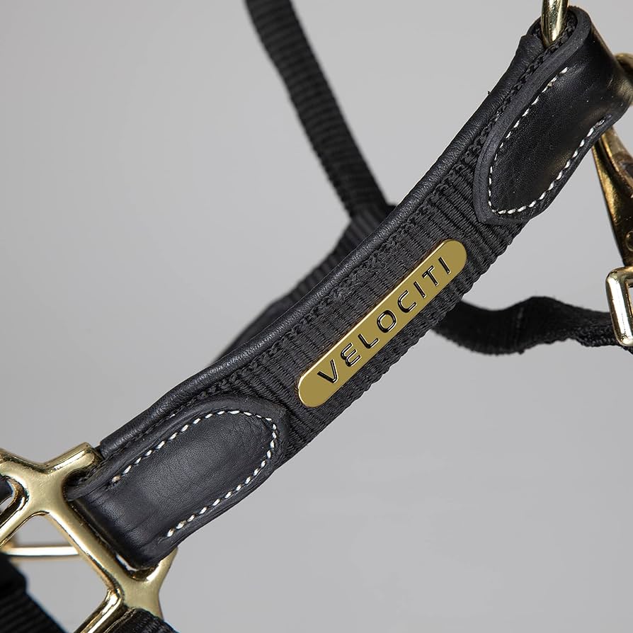 Velociti Lusso Padded Leather Headcollar - Navy