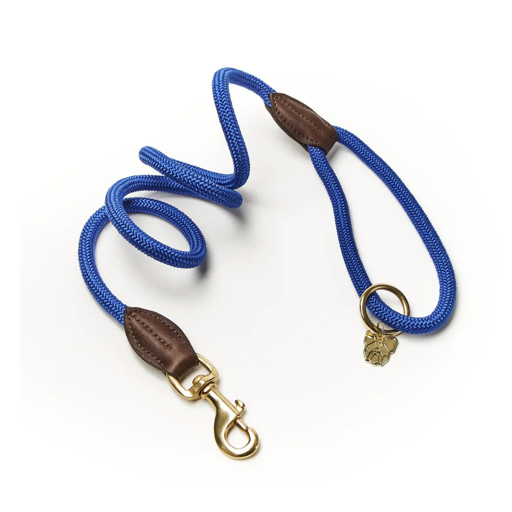 Digby and Fox Fine Rope Lead - Blue