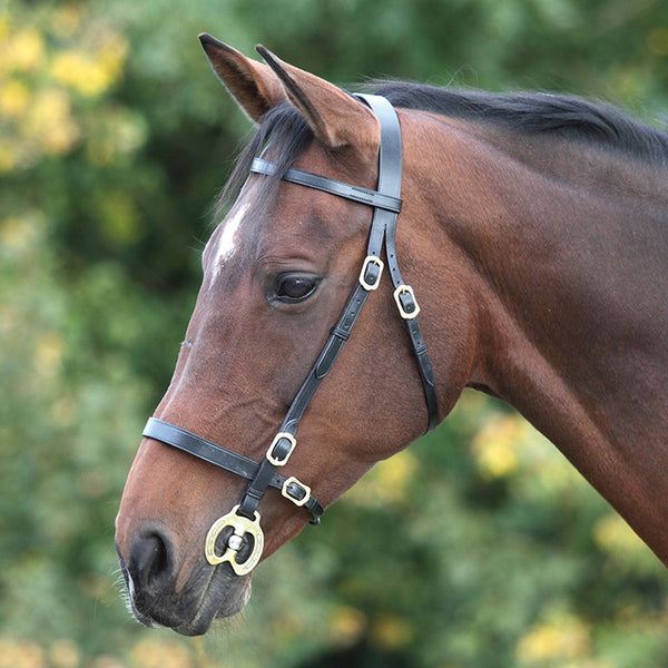 Velociti GARA Plain Inhand Bridle - Havana