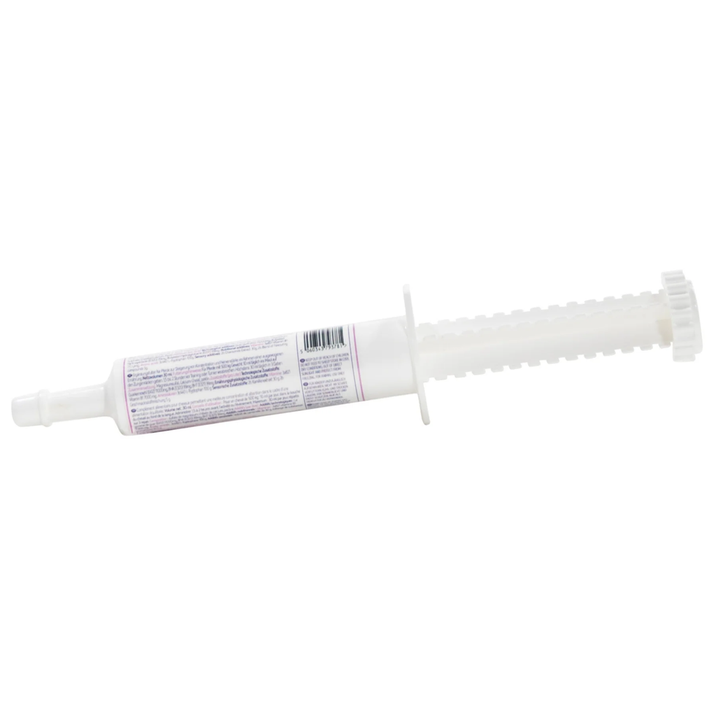 Equine America So Kalm Paste - 30ml Syringe