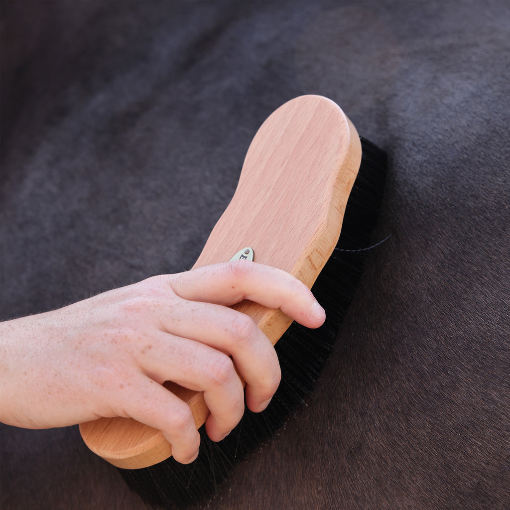 EZI-GROOM Premium Dandy Brush - Wooden