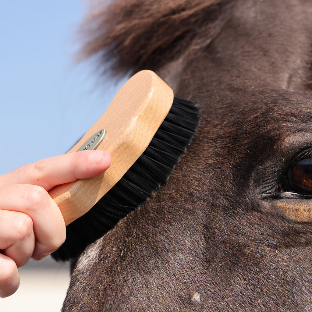 EZI-GROOM Premium Face Brush - Wooden