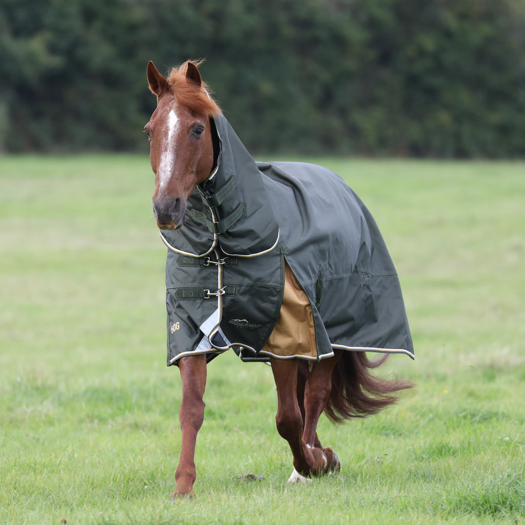 Shires Highlander Plus 50 Combo Turnout Rug - Green