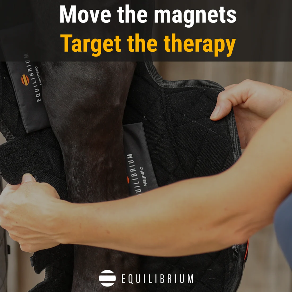 Equilibrium Magnetic Chaps