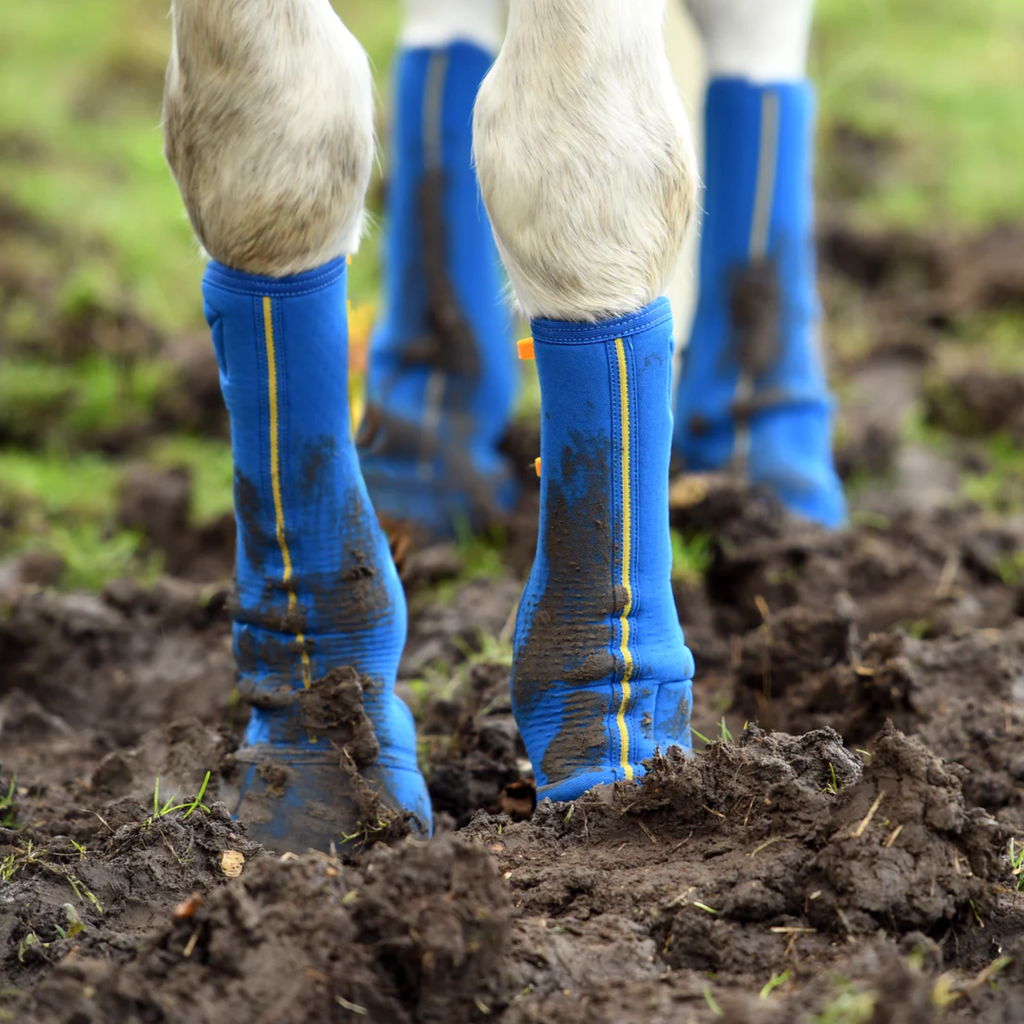 Equilibrium Equi-Chaps Close Contact Chaps - Navy