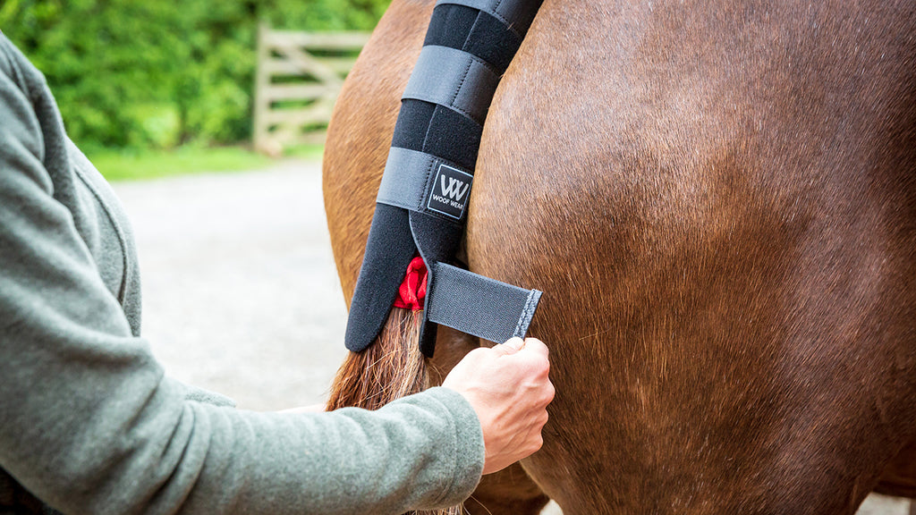 Woof Wear Tail Guard - Black
