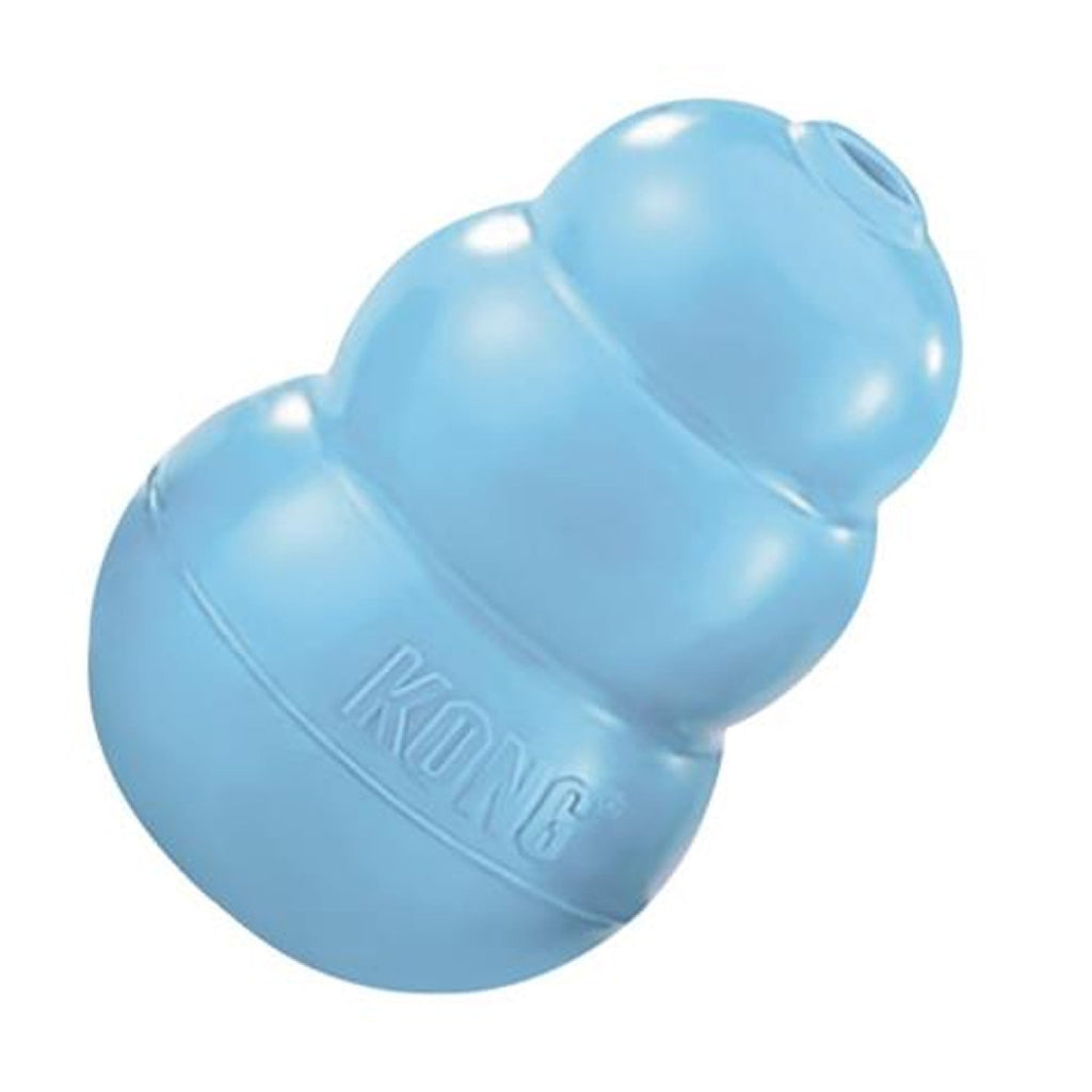 KONG Puppy
