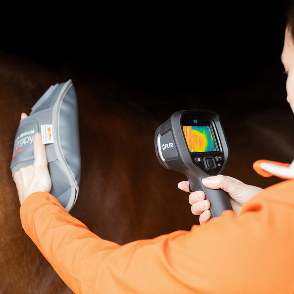 Equilibrium Massage Mitt Hotspot