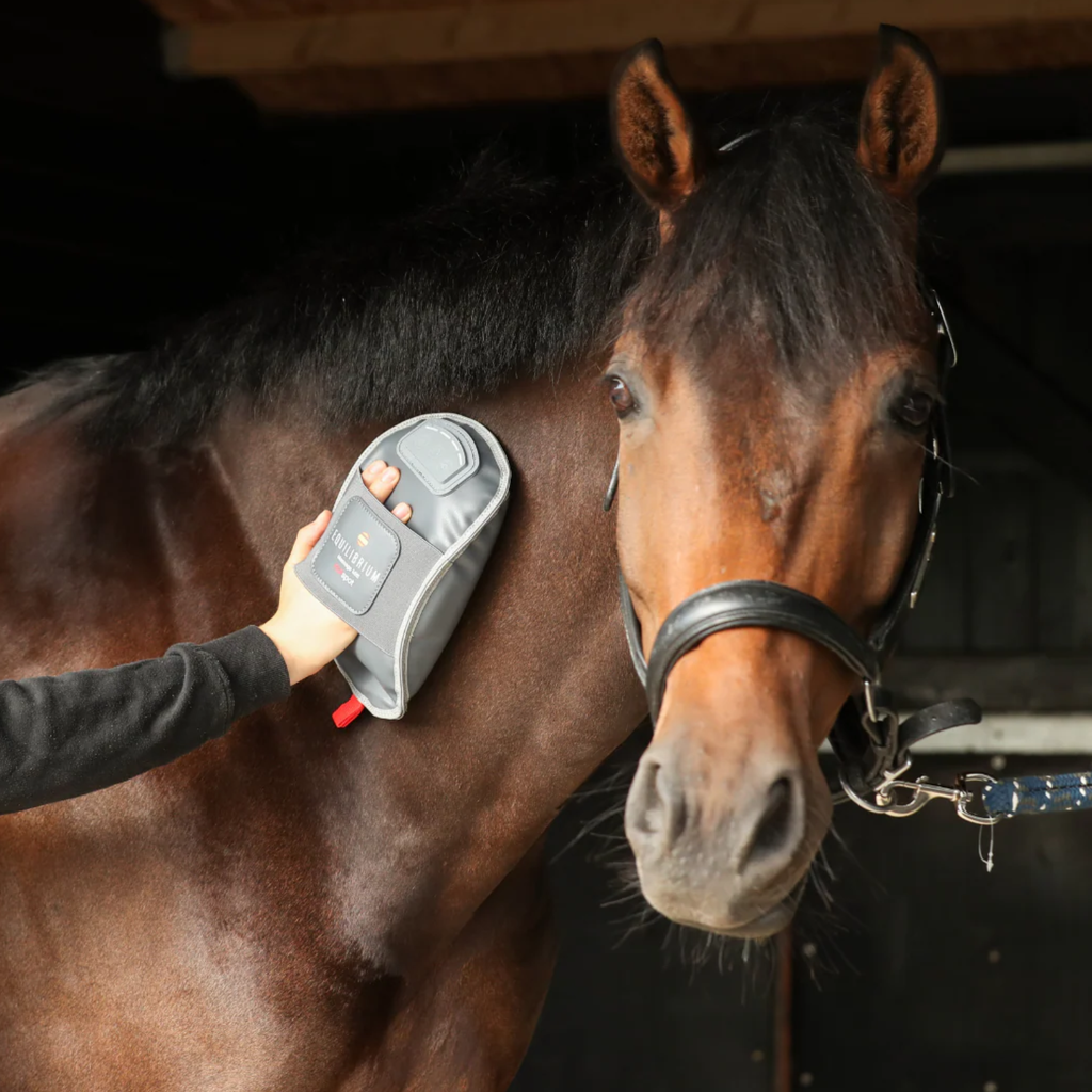 Equilibrium Massage Mitt Hotspot