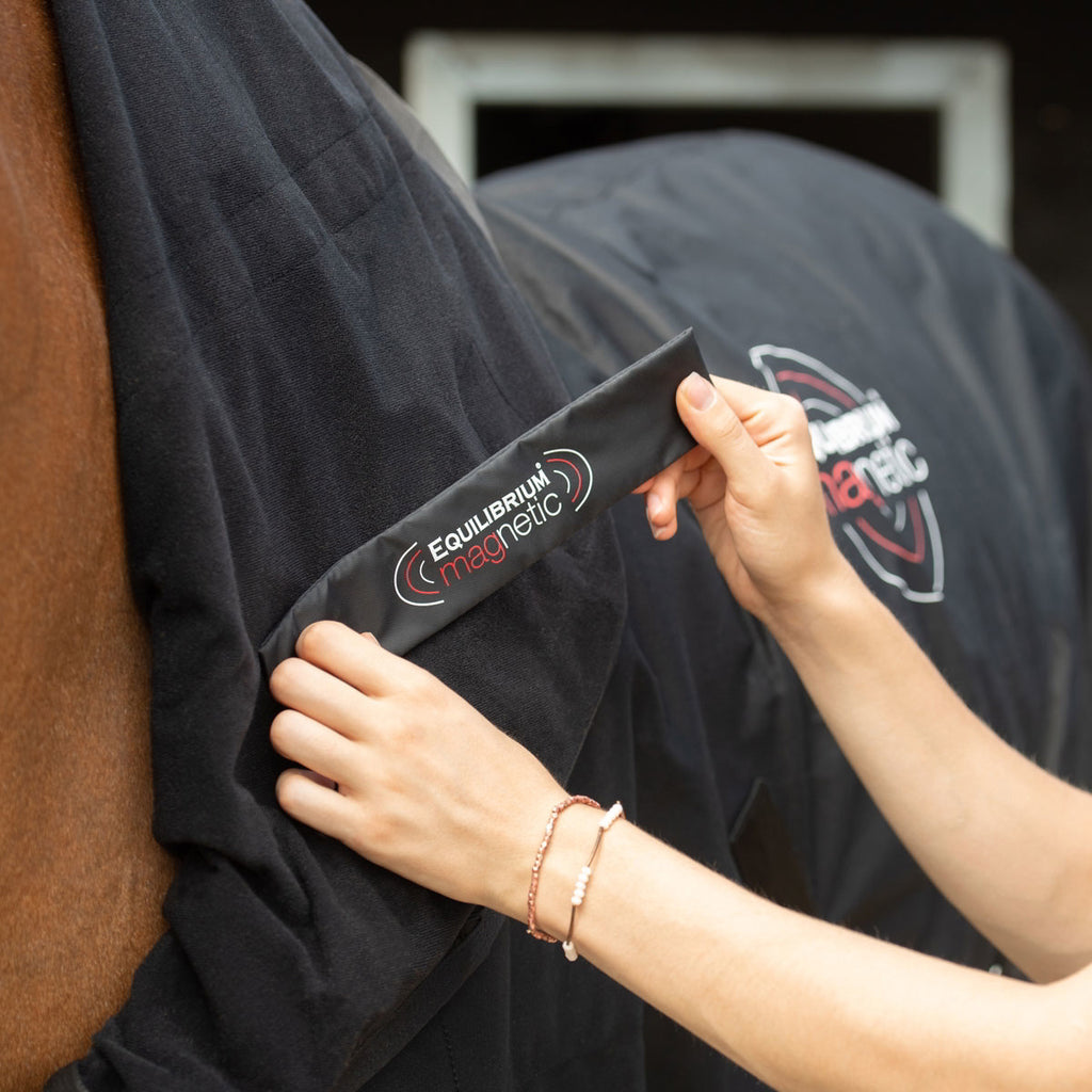 Equilibrium Magnetic Rug - Black/Grey