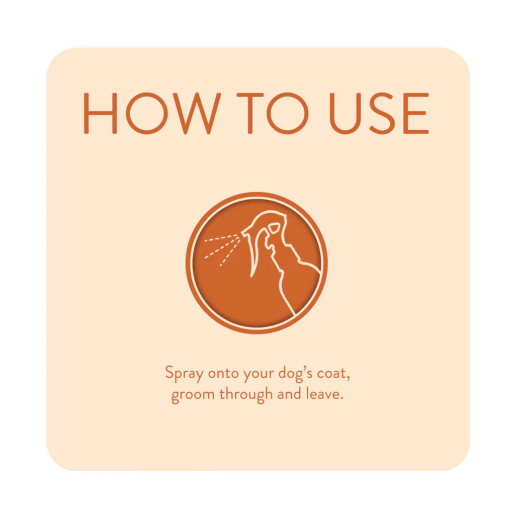 Animology Dirty Dawg No Rinse Shampoo - 250ml