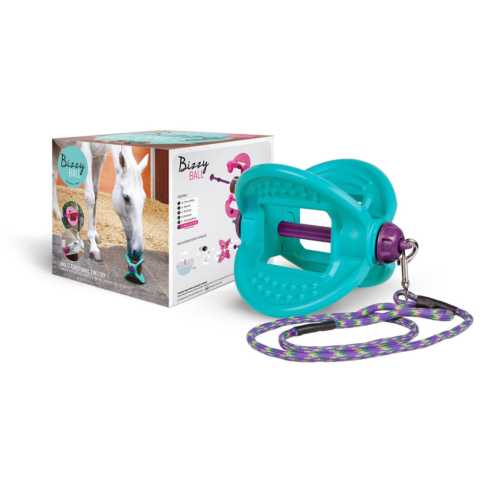 Bizzy Horse Bizzy Ball - Aqua