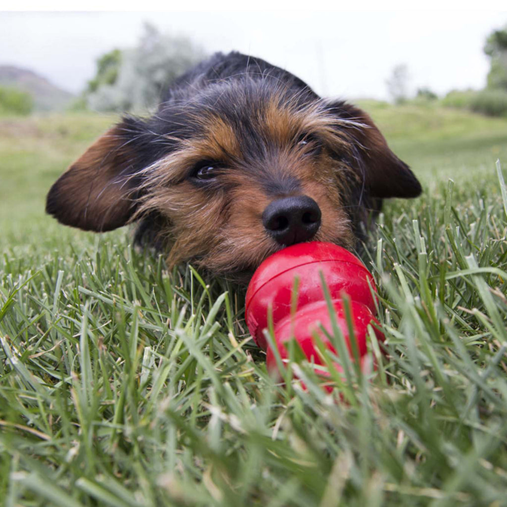 KONG Easy Treat - Liver