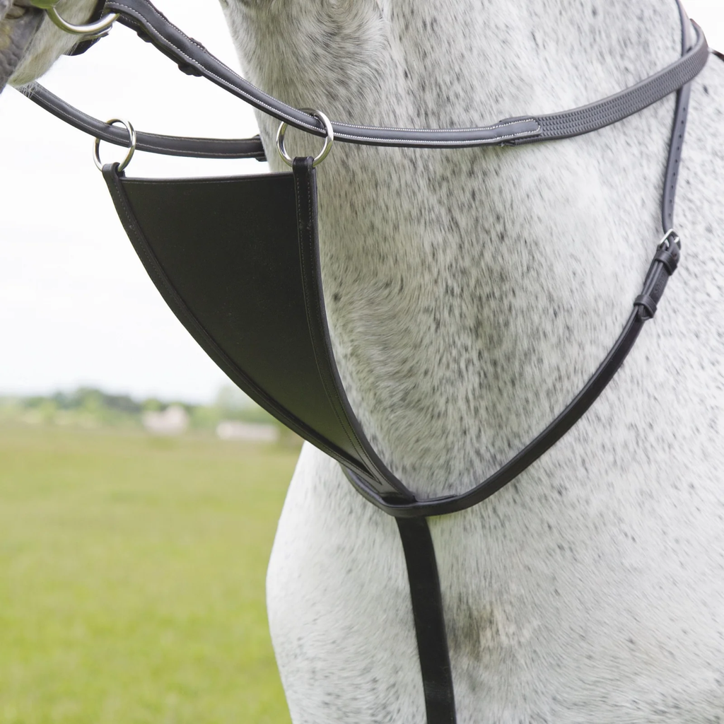 Velociti GARA Bib Martingale HAVANA