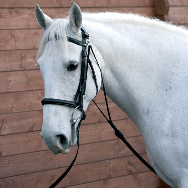 Hy Equestrian Chambon - Black