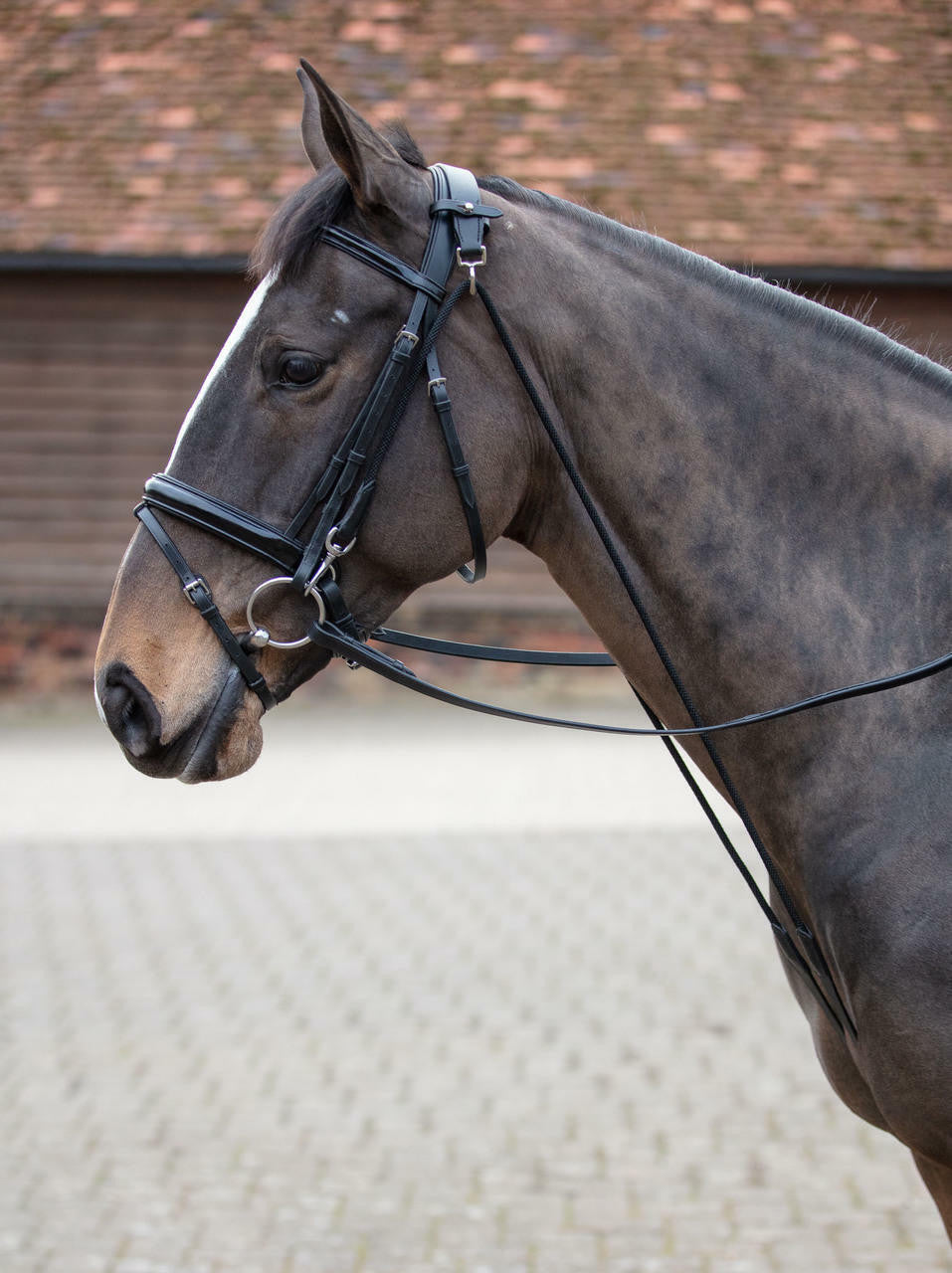 Hy Equestrian Chambon - Black