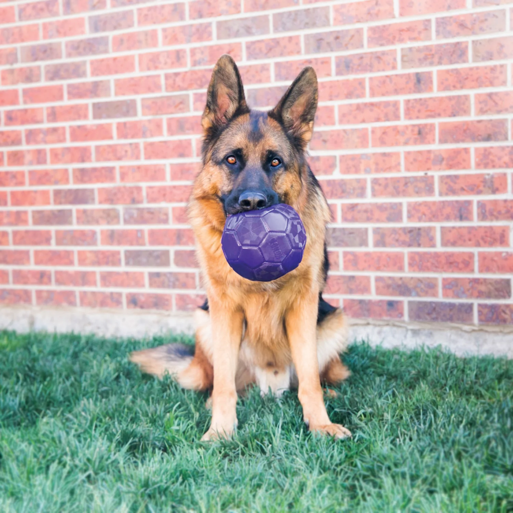 KONG Flexball - Medium/ Large Medium/Large