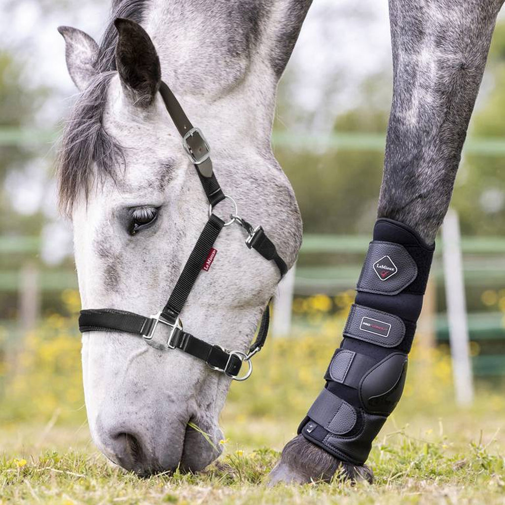 LeMieux Breakaway Headcollar -Black