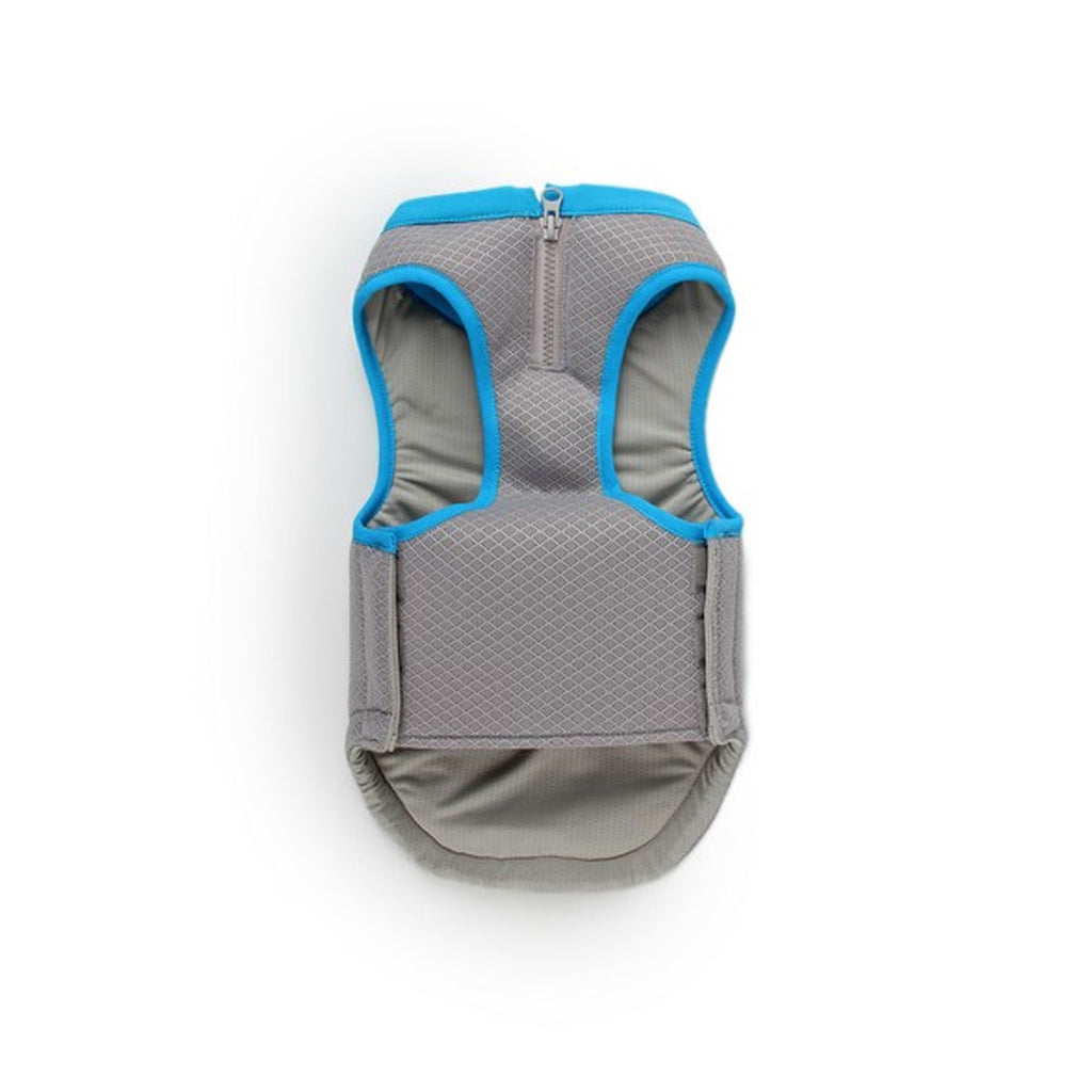 All For Paws Chill Out Cooling Vest