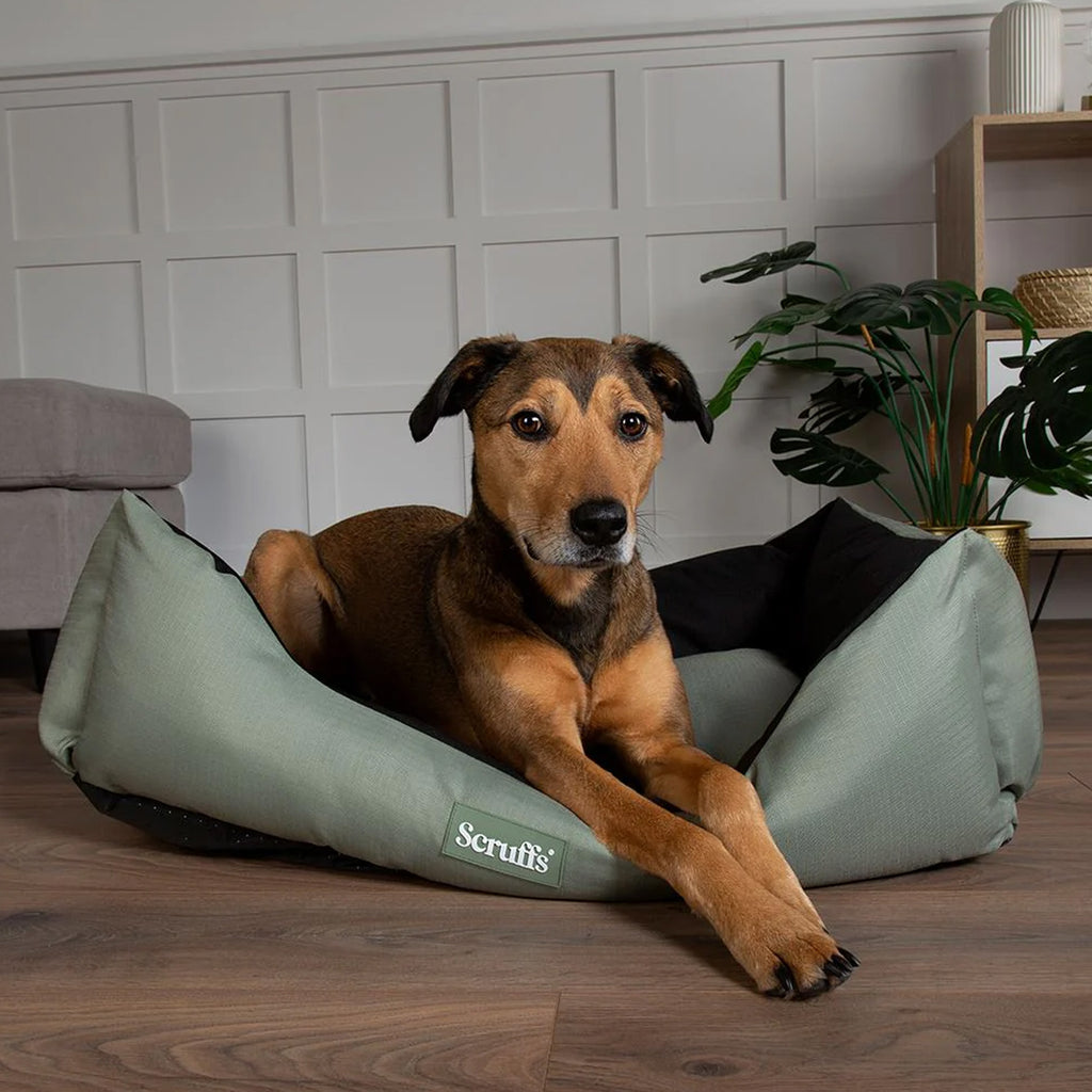 Scruffs Expedition Box Bed - Khaki Green