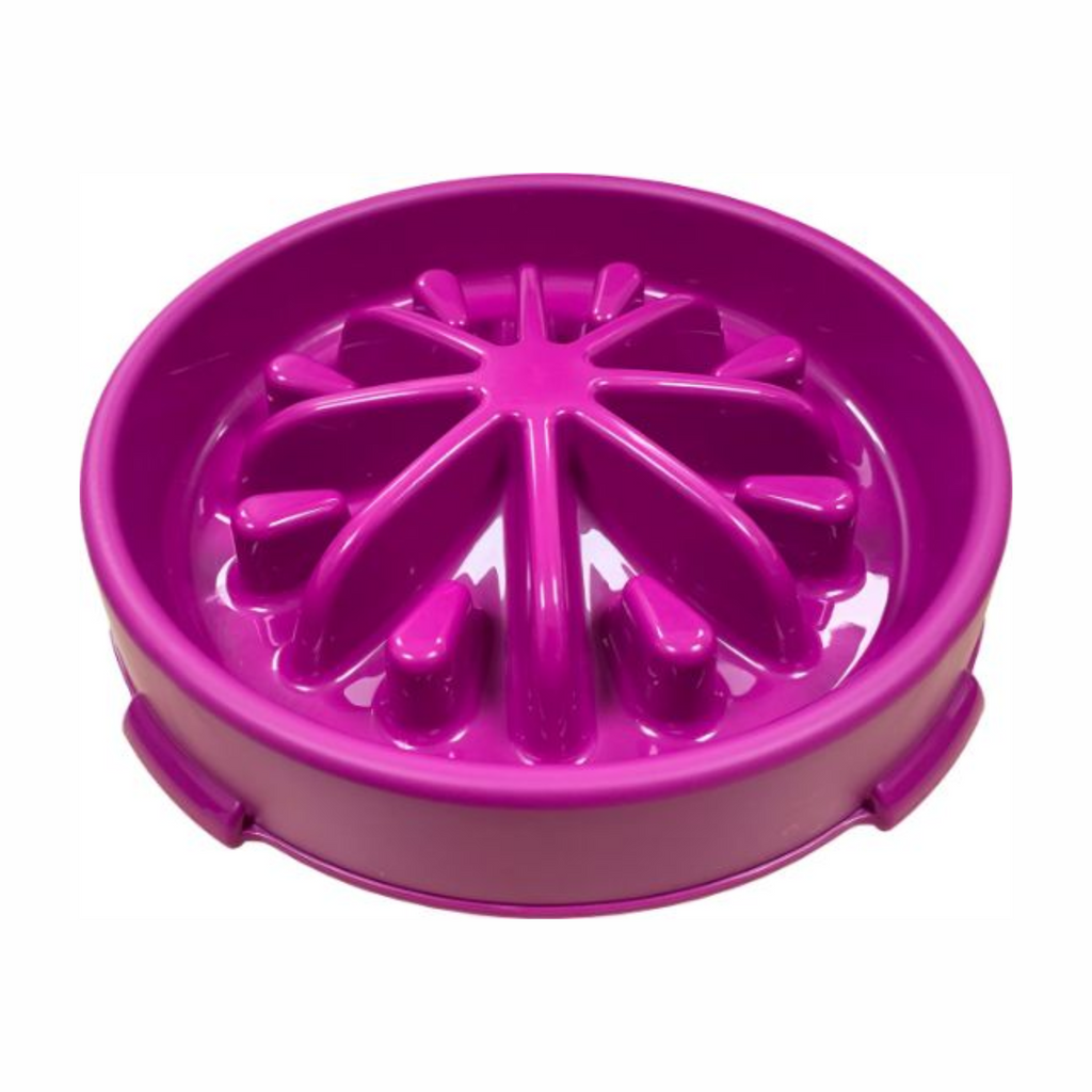 Hemmo and Co Slow Feeding Pet Bowl - Large