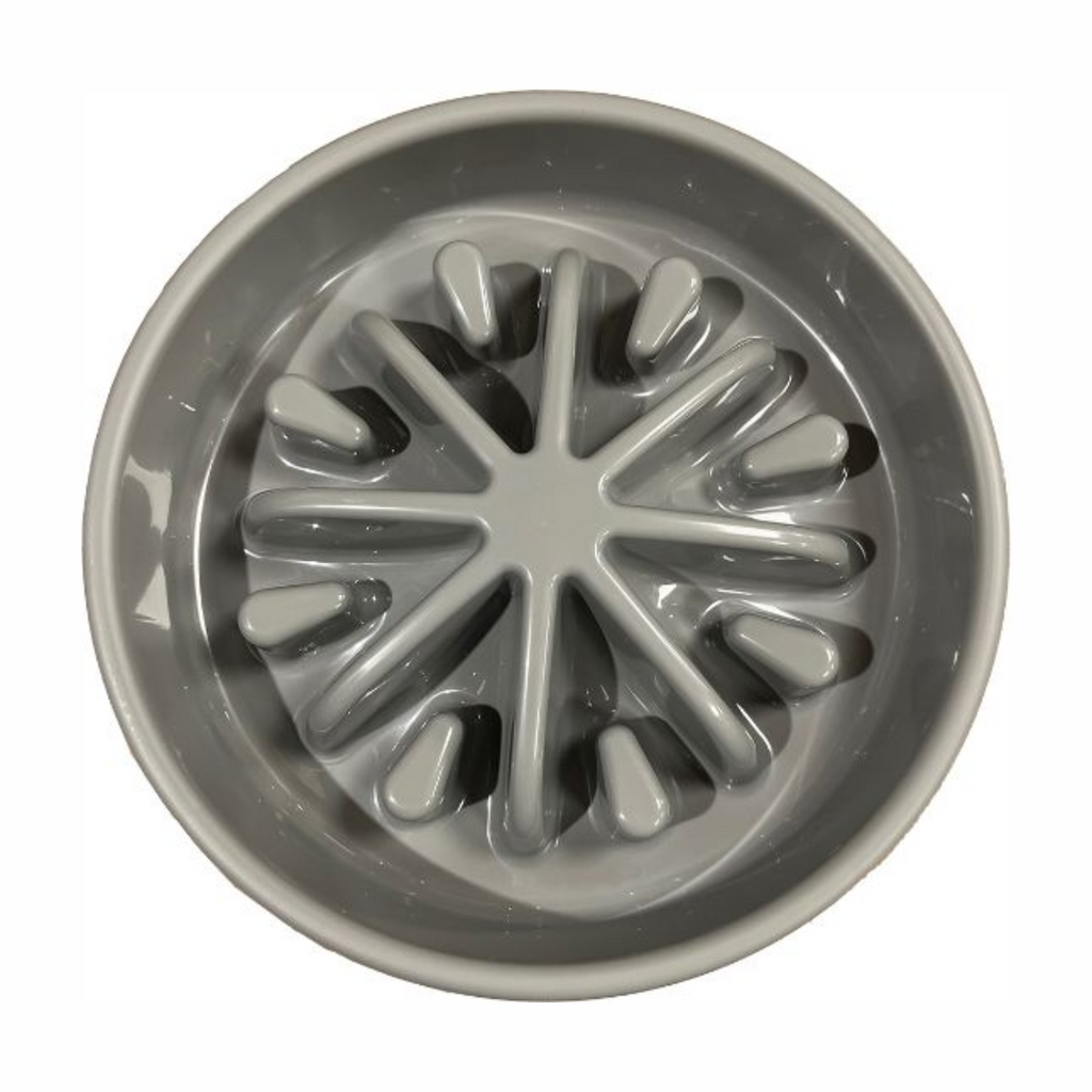 Hemmo and Co Slow Feeding Pet Bowl - Large