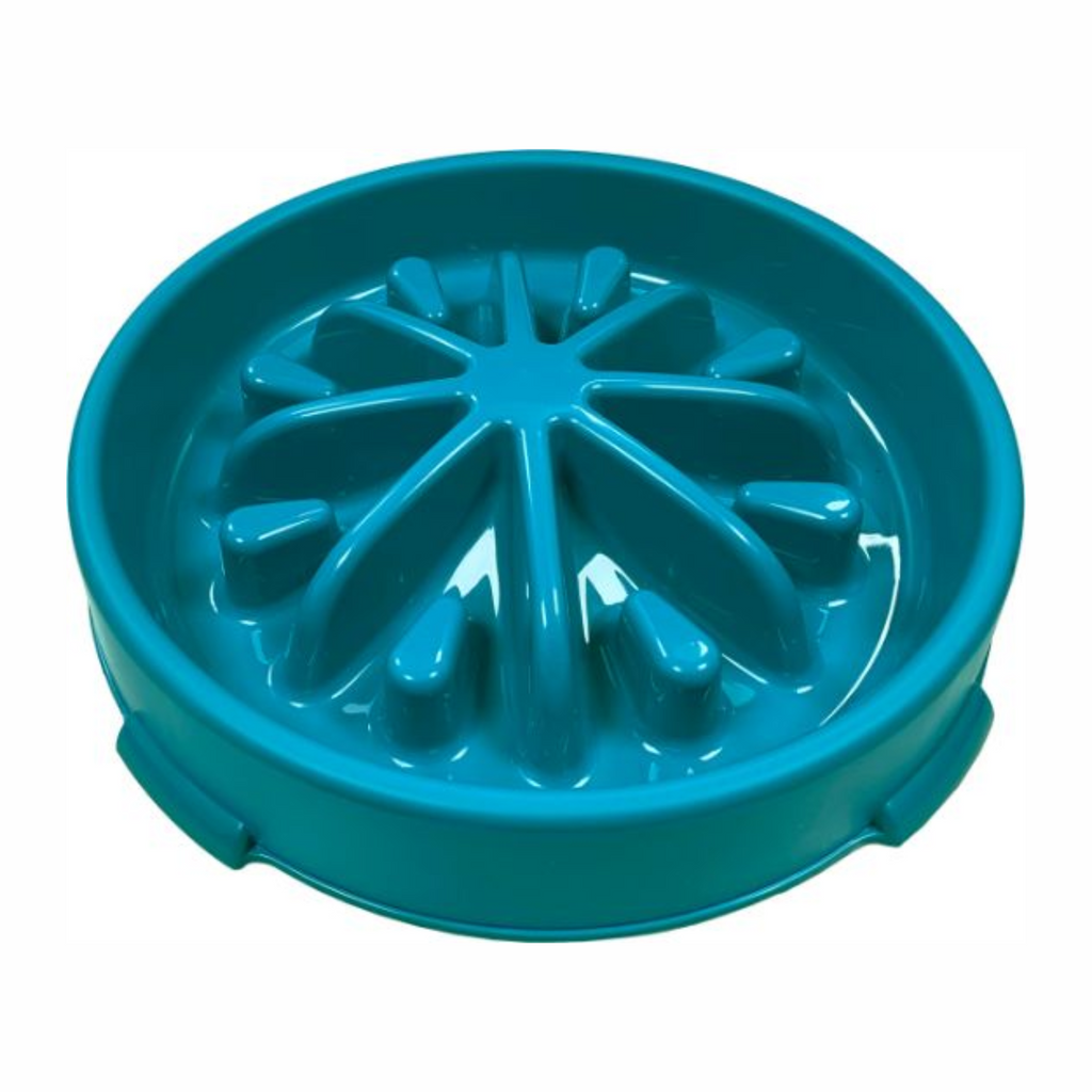 Hemmo and Co Slow Feeding Pet Bowl - Large