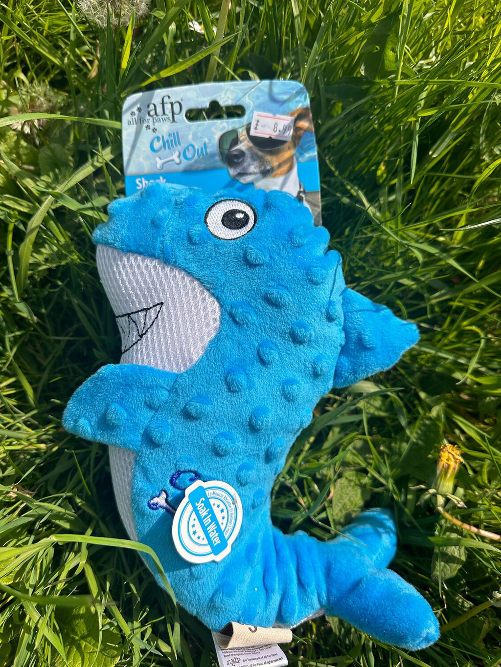 All For Paws Chill Out Shark