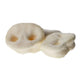 JR Pet Products Premium Puffed Porky Snouts