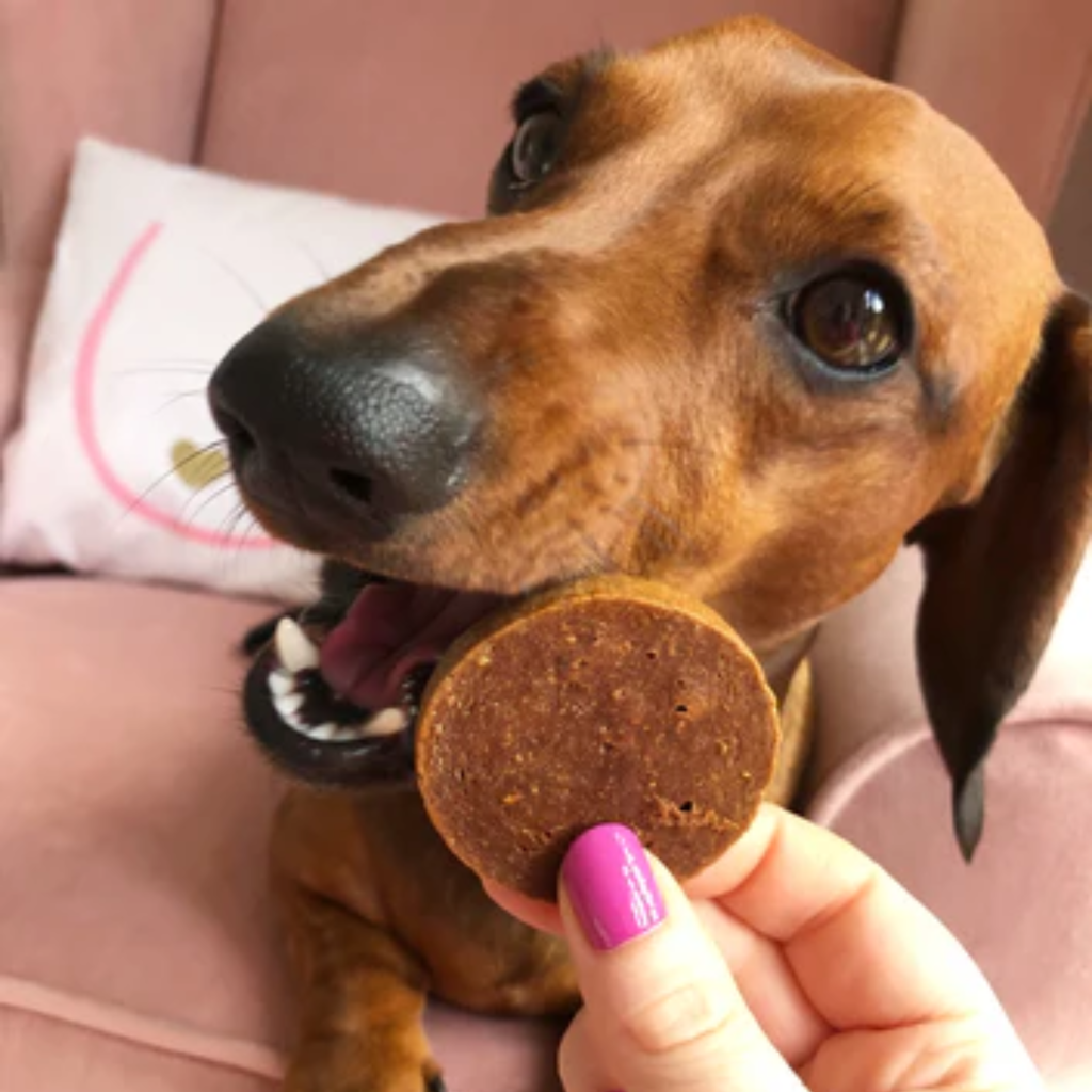 JR Pet Products Pure Salmon Coin - Single