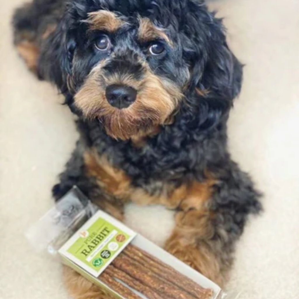 JR Pet Products Pure Sticks 50g - Rabbit