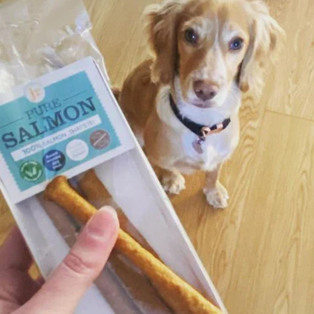 JR Pet Products Pure Sticks 50g - Salmon