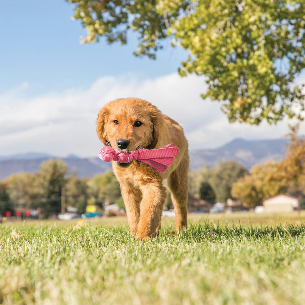 KONG Puppy Wubba - Pink