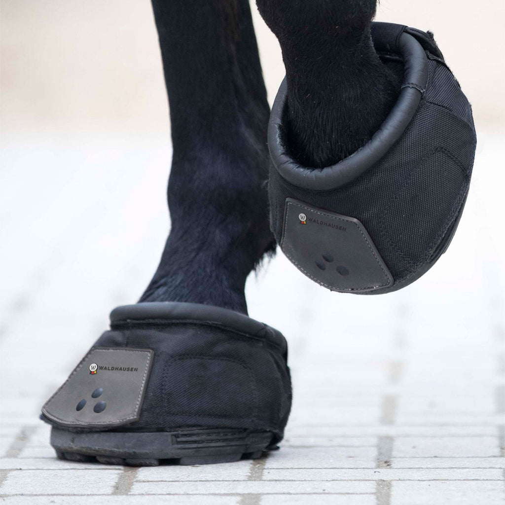 Waldhausen Hoof Boot - Black