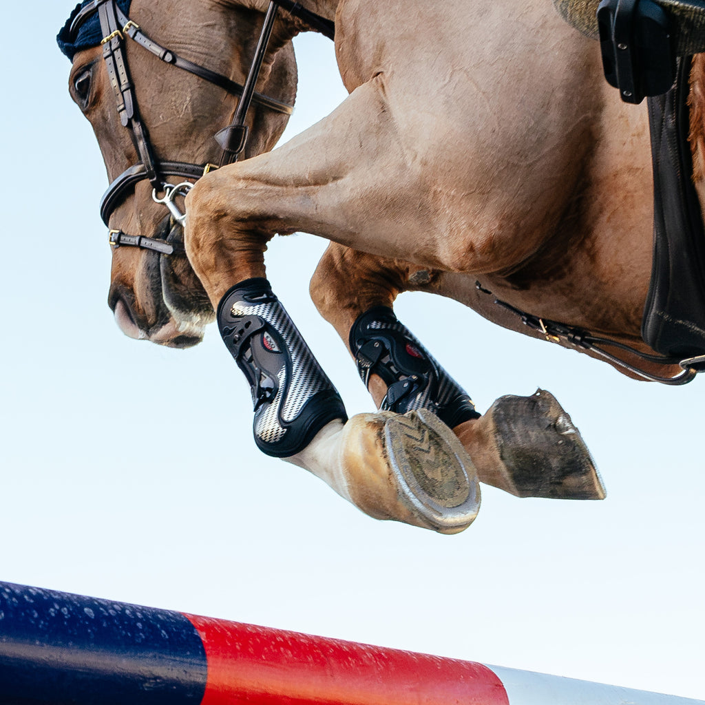 LeMieux EXO Flex Tendon Boot - Black/Silver