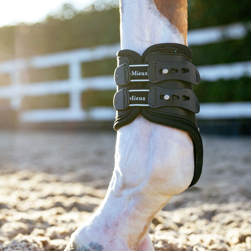 LeMieux EXO Flex Fetlock Boot - Black/Silver