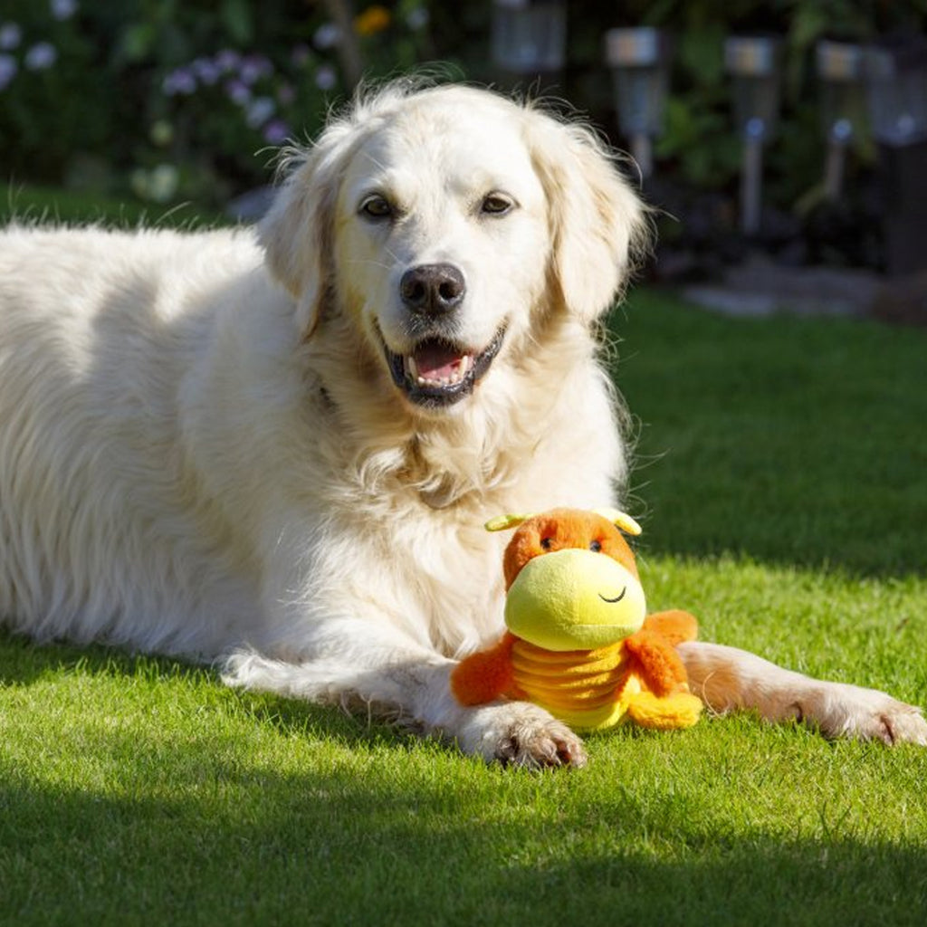 Petface Cody Caterpillar Plush Dog Toy